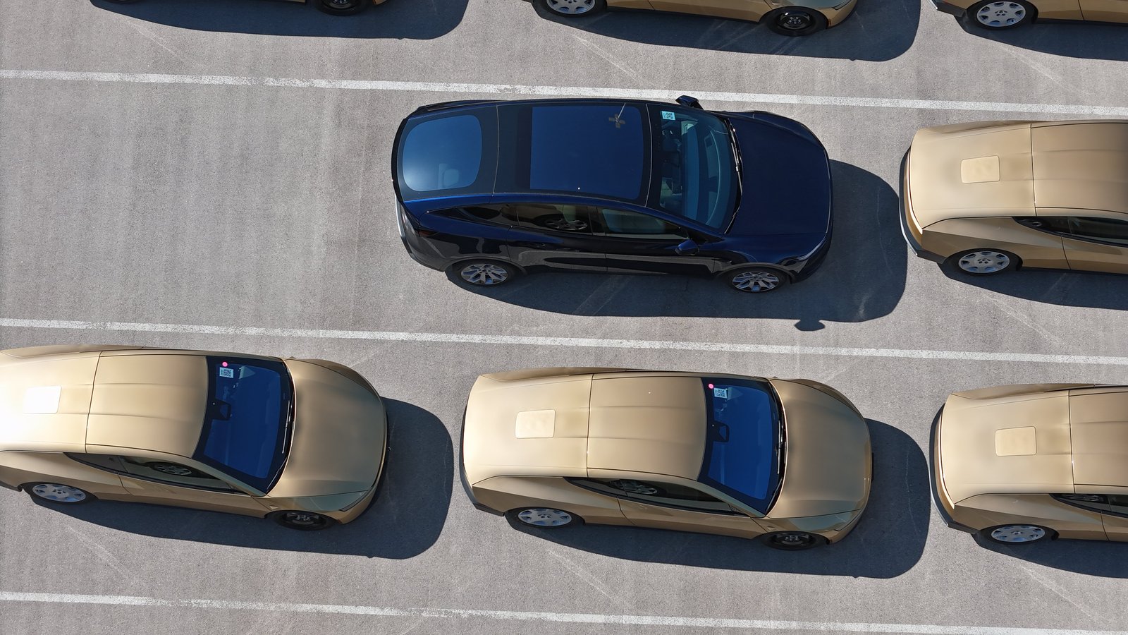 Overhead view of gold Tesla Cybercabs parked among other vehicles.