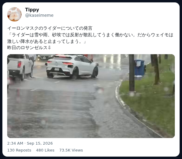 Screenshot of a post by Tippy (@kaseimeme) sharing the Waymo rain clip and Musk's LiDAR comment.